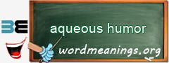 WordMeaning blackboard for aqueous humor